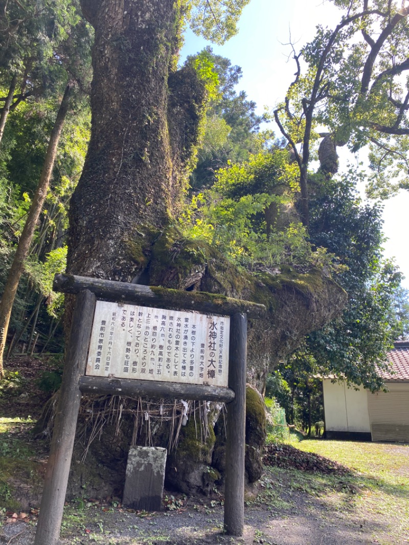 ヨコヨコさんの畑冷泉館のサ活写真