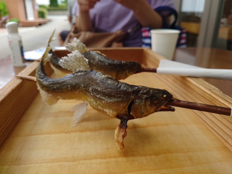 iwmzyicさんのやまと温泉 やすらぎ館 ことといの湯のサ活写真