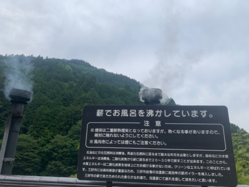 白だしさんの祖谷渓温泉 ホテル秘境の湯のサ活写真