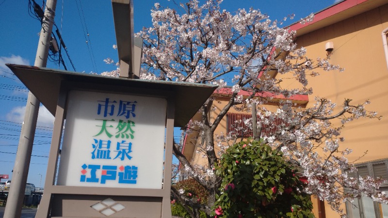 バイブラの中心でサウナ愛をさけぶさんの市原天然温泉江戸遊のサ活写真