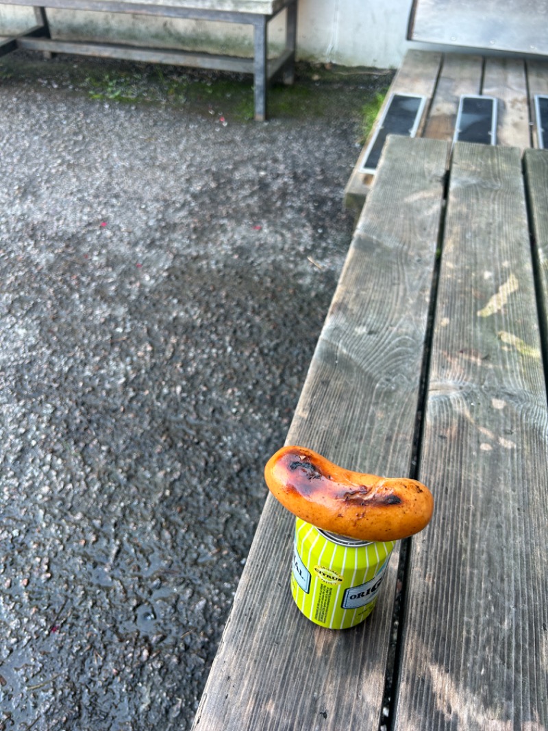 もこさんのRauhaniemi Folk Spaのサ活写真