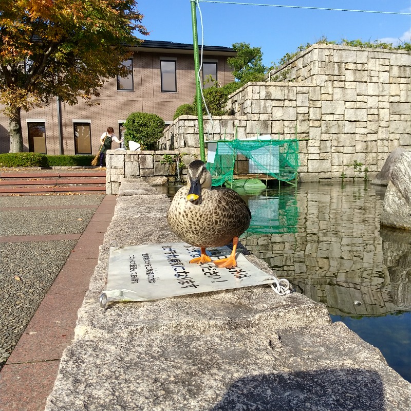 ねむさんの川北町役場 ふれあい健康センターのサ活写真