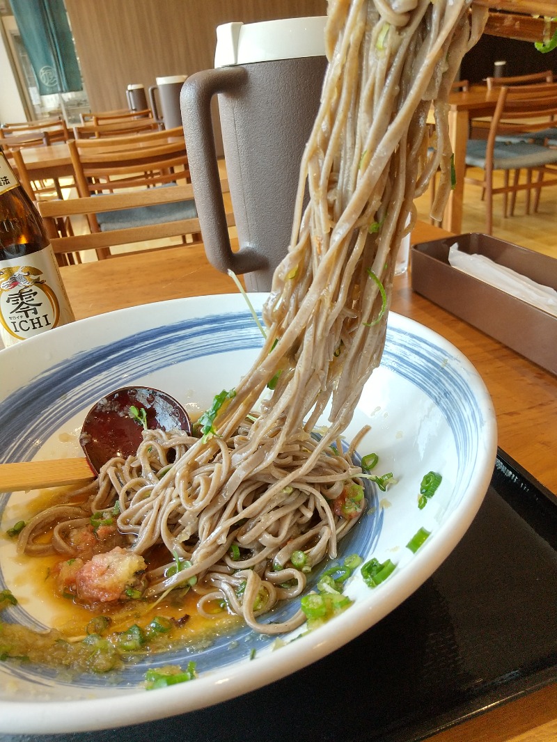 ねむさんの天然温泉 風の森 北陸小矢部店のサ活写真