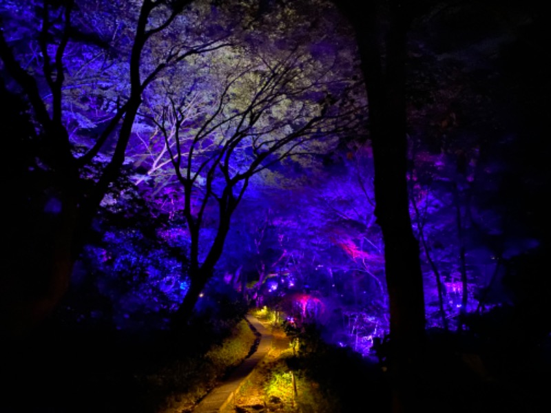 ポンチョ買いたいさんの御船山楽園ホテル  らかんの湯のサ活写真