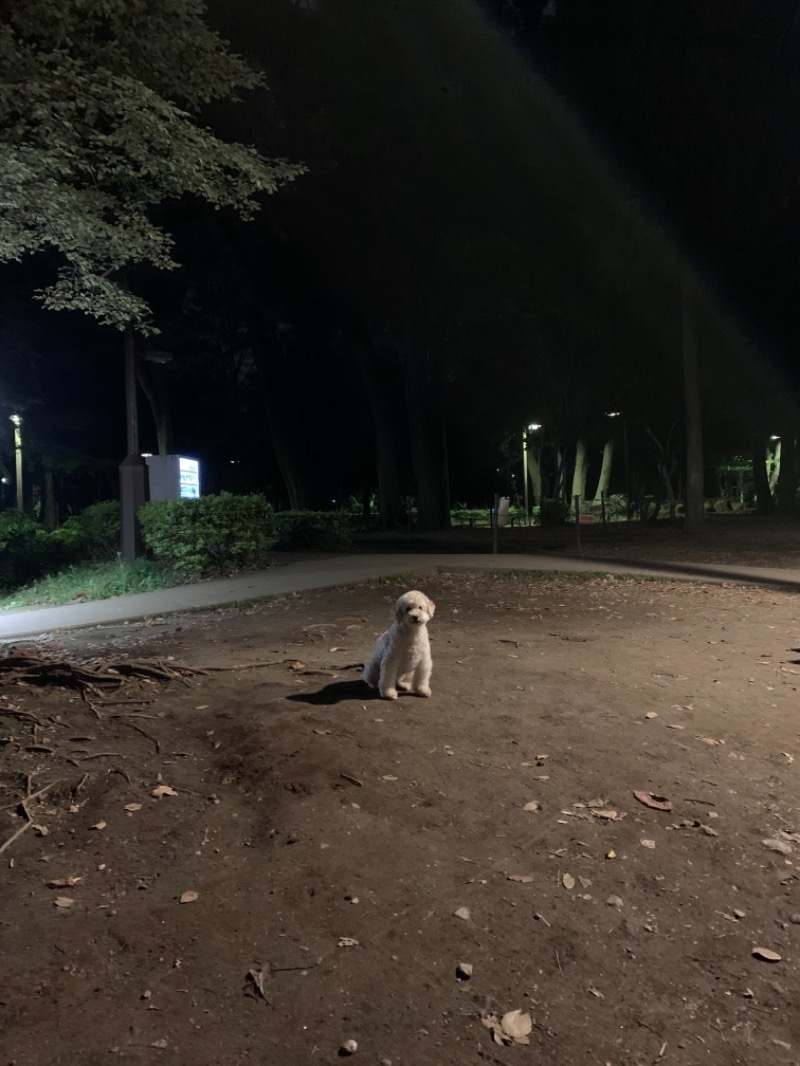 岡田トランジスタさんの武蔵小山温泉 清水湯のサ活写真