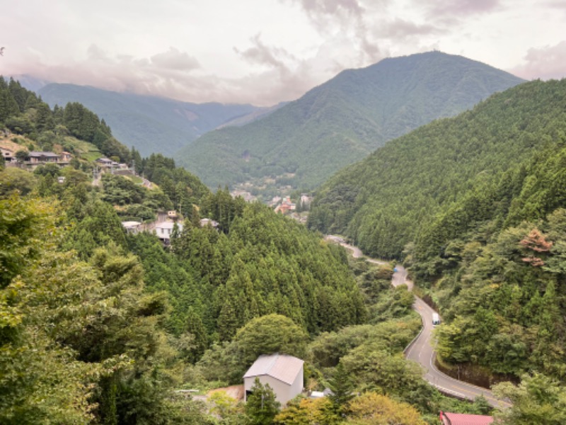 マーボーさんの新祖谷温泉 ホテルかずら橋のサ活写真