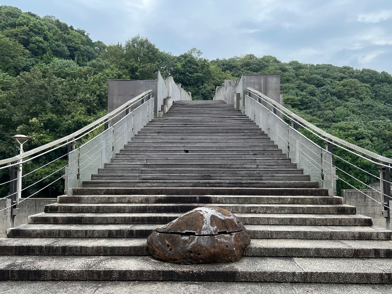 マーボーさんの門入カメリア温泉のサ活写真