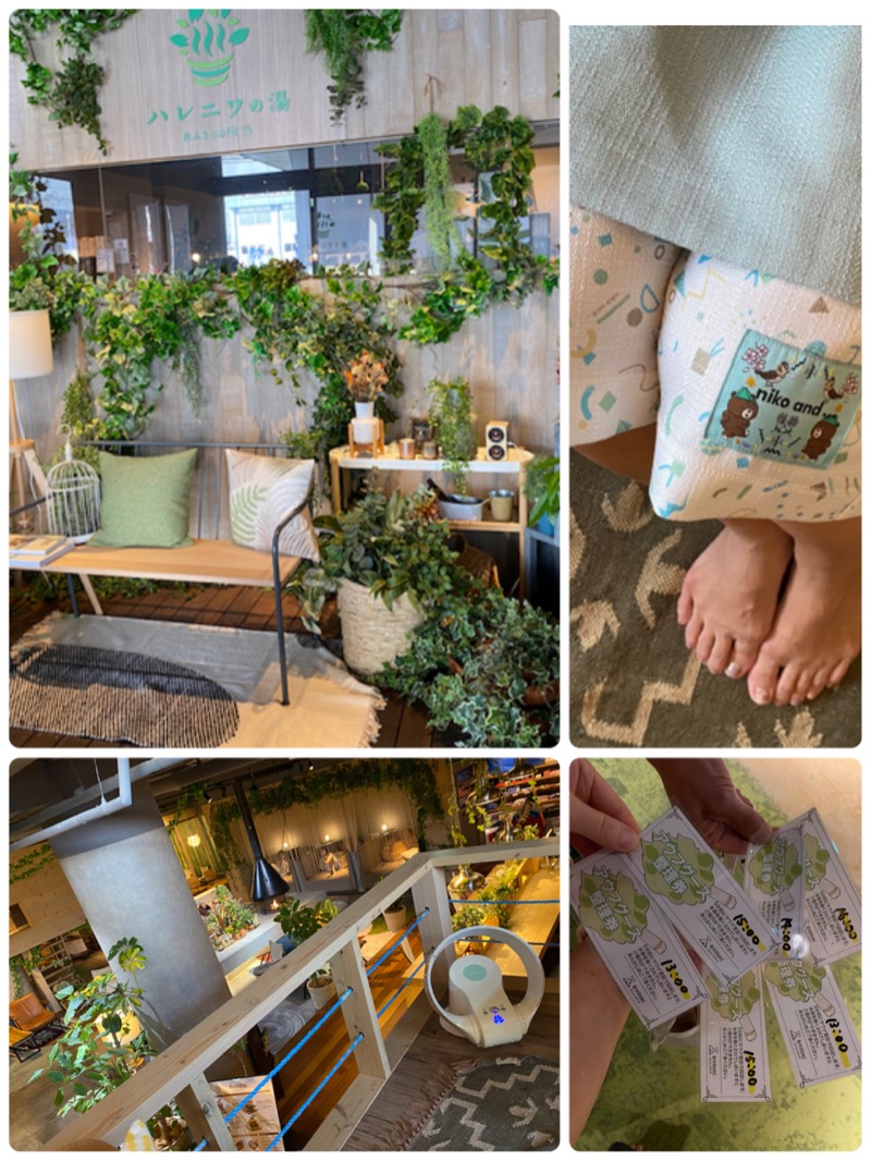 ひげダルマ夫人さんのおふろcafé ハレニワの湯のサ活写真