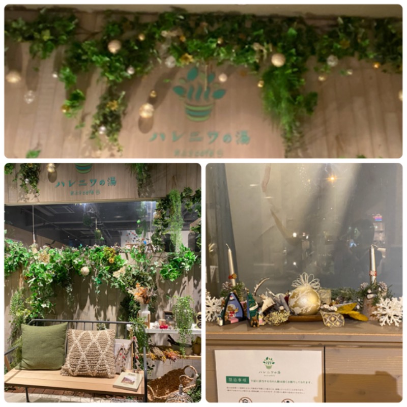 ひげダルマ夫人さんのおふろcafé ハレニワの湯のサ活写真