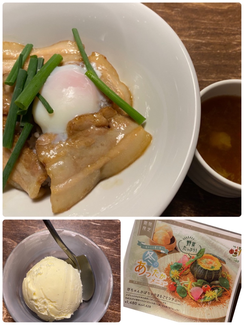 ひげダルマ夫人さんのおふろcafé ハレニワの湯のサ活写真