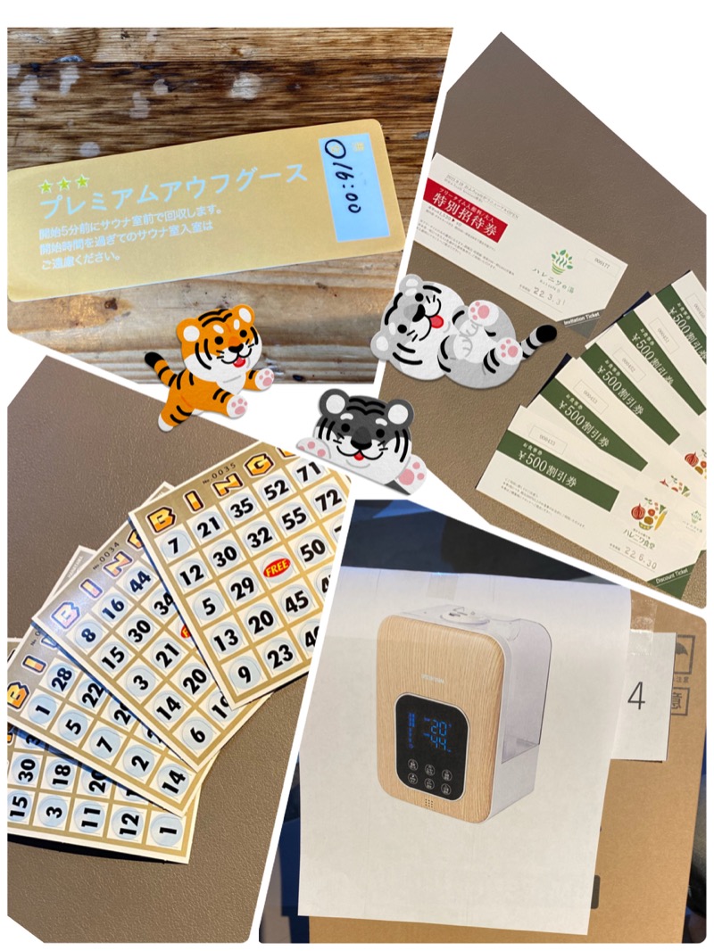 ひげダルマ夫人さんのおふろcafé ハレニワの湯のサ活写真