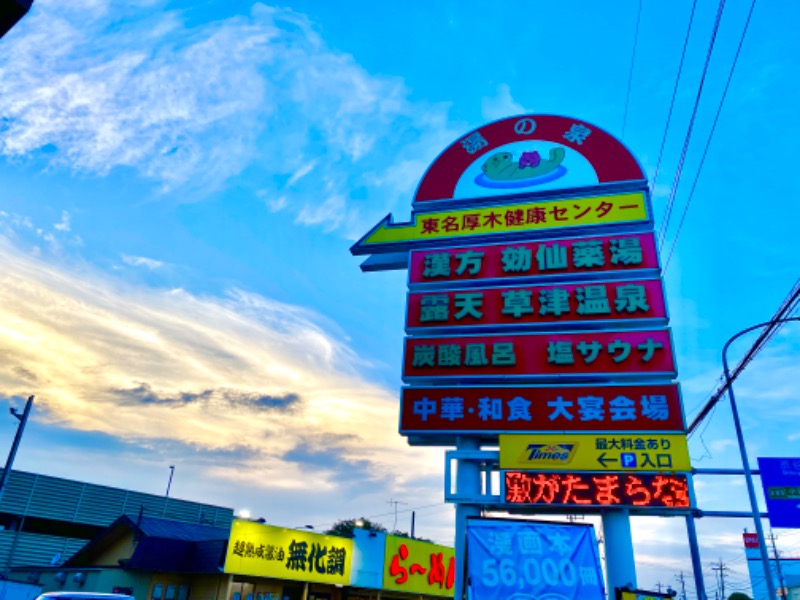 ひげダルマ夫人さんの湯の泉 東名厚木健康センターのサ活写真