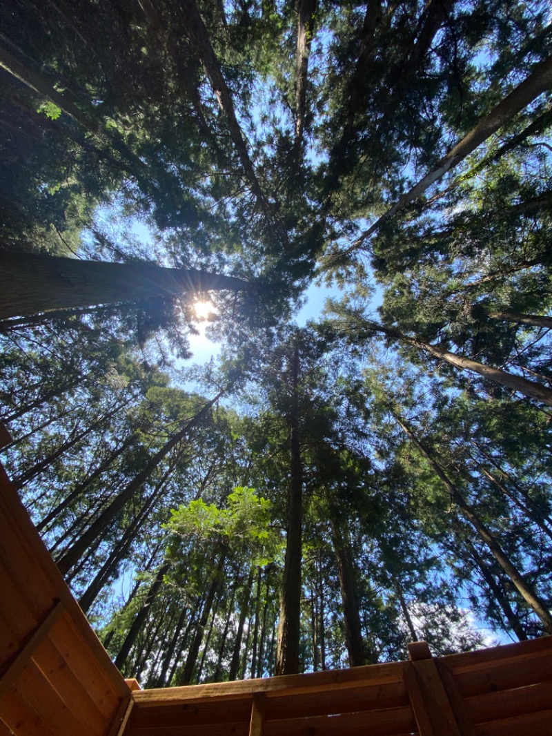 ひげダルマ夫人さんのさんかく山 CAMP FIELDのサ活写真