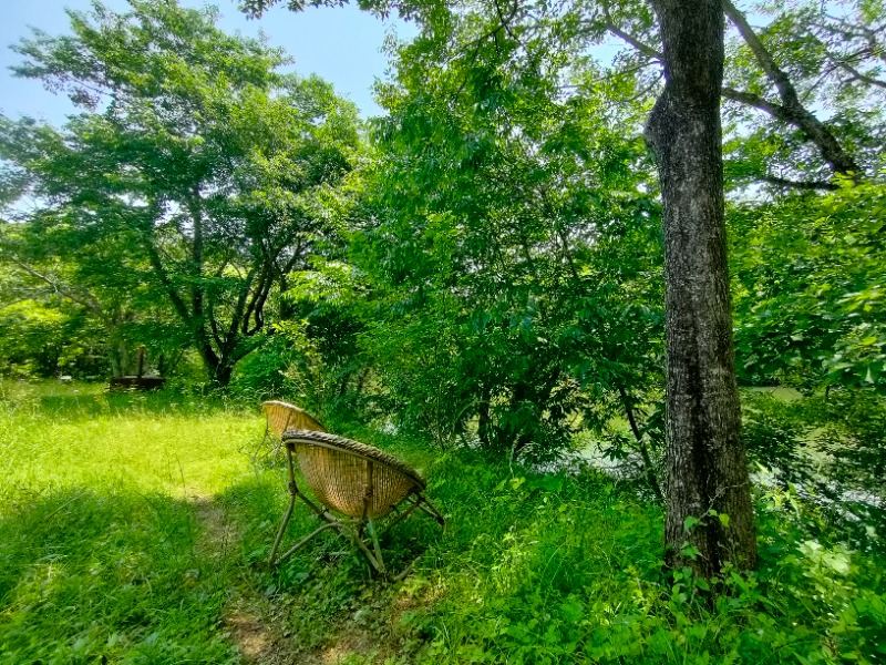 のぶさんの宇部サウナセンターのサ活写真