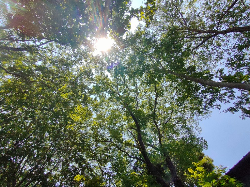 のぶさんの宇部サウナセンターのサ活写真