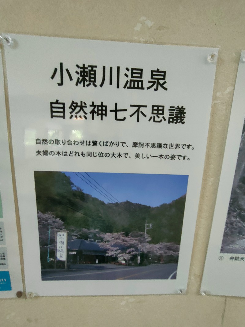 のぶさんの小瀬川温泉のサ活写真