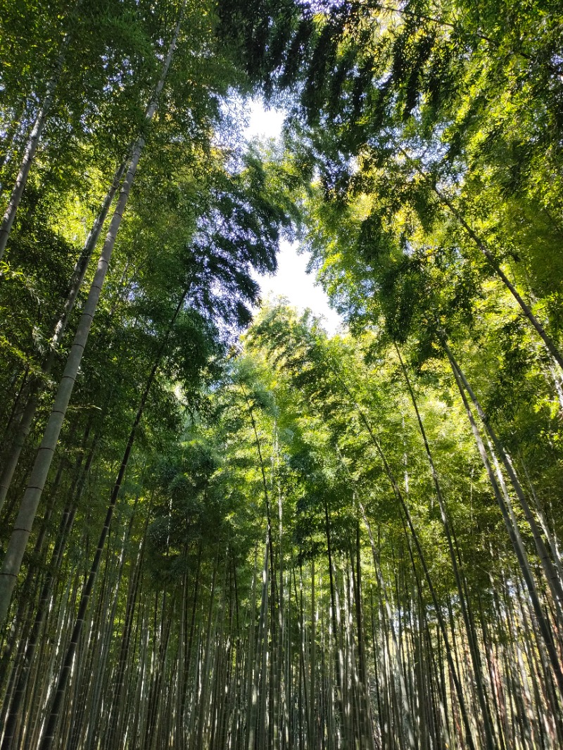 のぶさんのゆうゆうプラザ 四季彩の湯のサ活写真