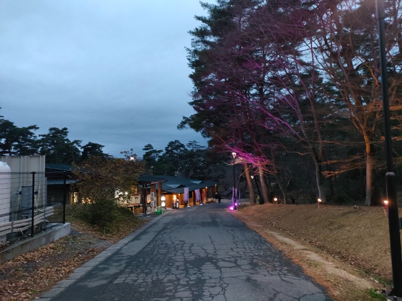 のぶさんのSauna & Spa Green サウナ&スパ グリーン～愛宕山温泉～のサ活写真