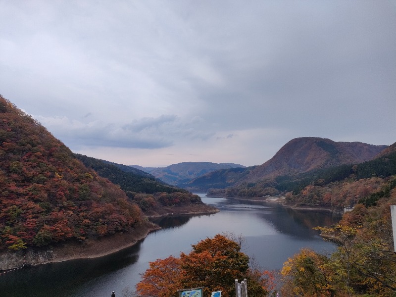 のぶさんの血管若返りをめざすサロン いちはさま温泉 令和の湯のサ活写真