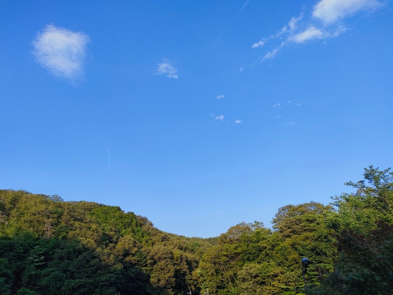 のぶさんの大子温泉保養センター 森林の温泉のサ活写真