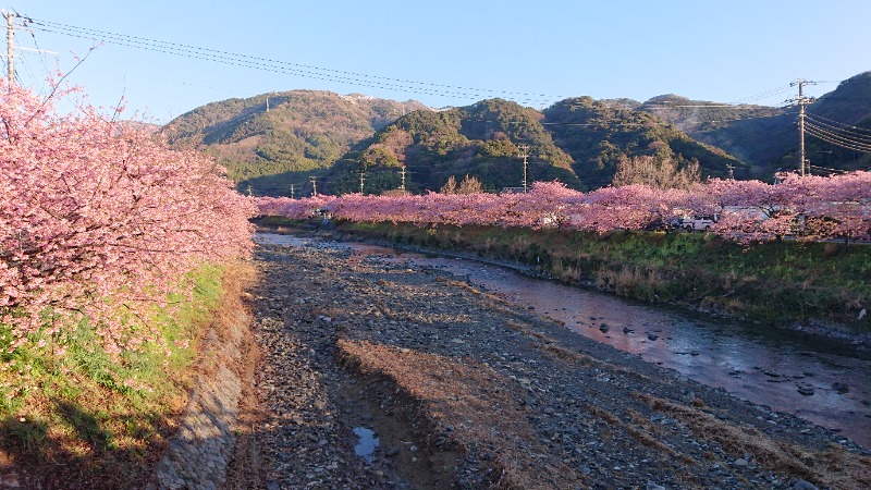 高さんの下賀茂温泉 銀の湯会館のサ活写真