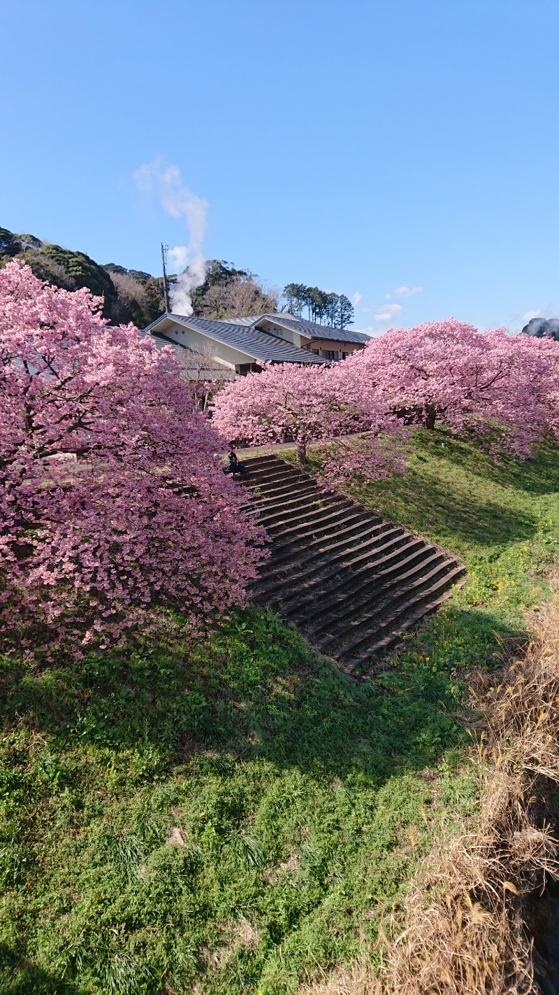 高さんの下賀茂温泉 銀の湯会館のサ活写真