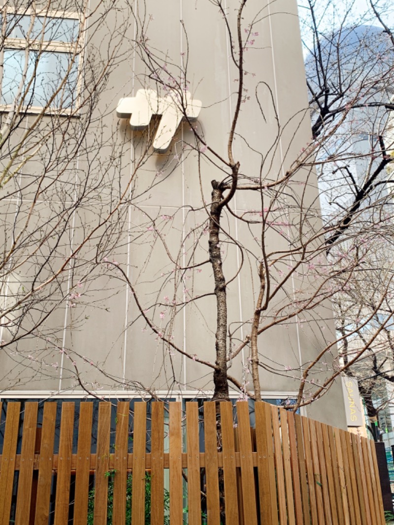 プーさんさんの渋谷SAUNASのサ活写真