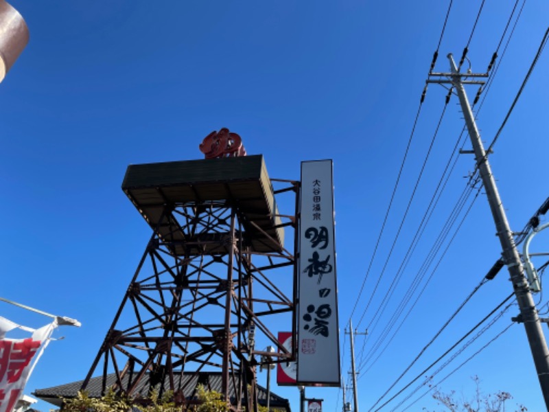 nereさんの大谷田温泉 明神の湯のサ活写真