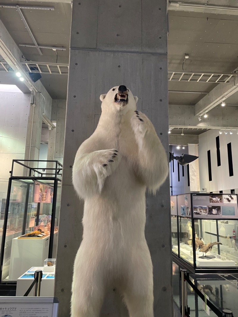 𝕊𝕆ℕ𝕆𝕂𝕆さんの立川湯屋敷 梅の湯のサ活写真