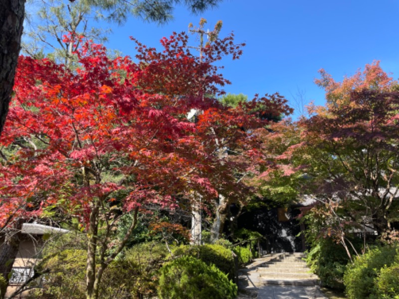 𝕊𝕆ℕ𝕆𝕂𝕆さんの上方温泉一休京都本館のサ活写真