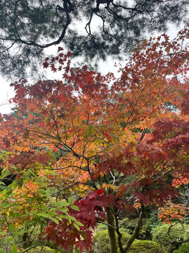 𝕊𝕆ℕ𝕆𝕂𝕆さんの上方温泉一休京都本館のサ活写真