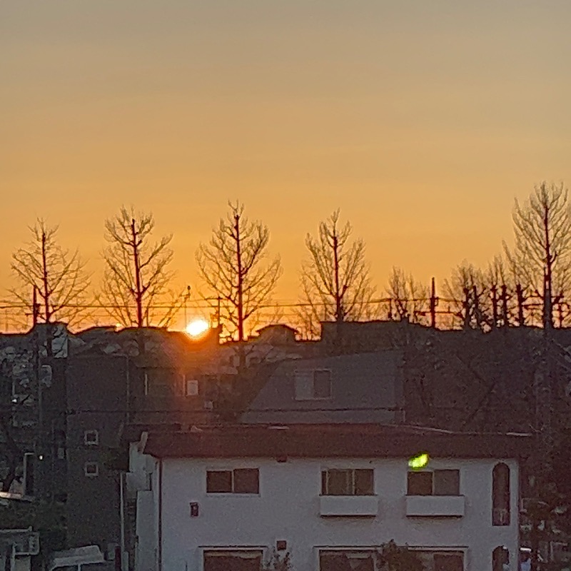 けんぴと🥵🥶🫠さんの豊島園 庭の湯のサ活写真