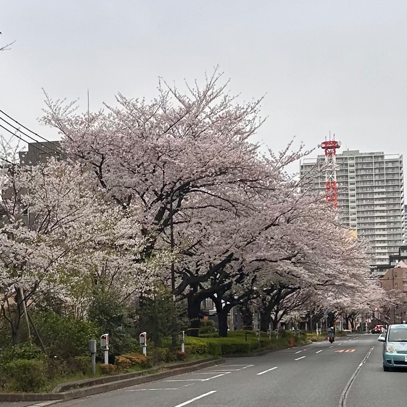 けんぴと🥵🥶🫠さんの中村浴場のサ活写真