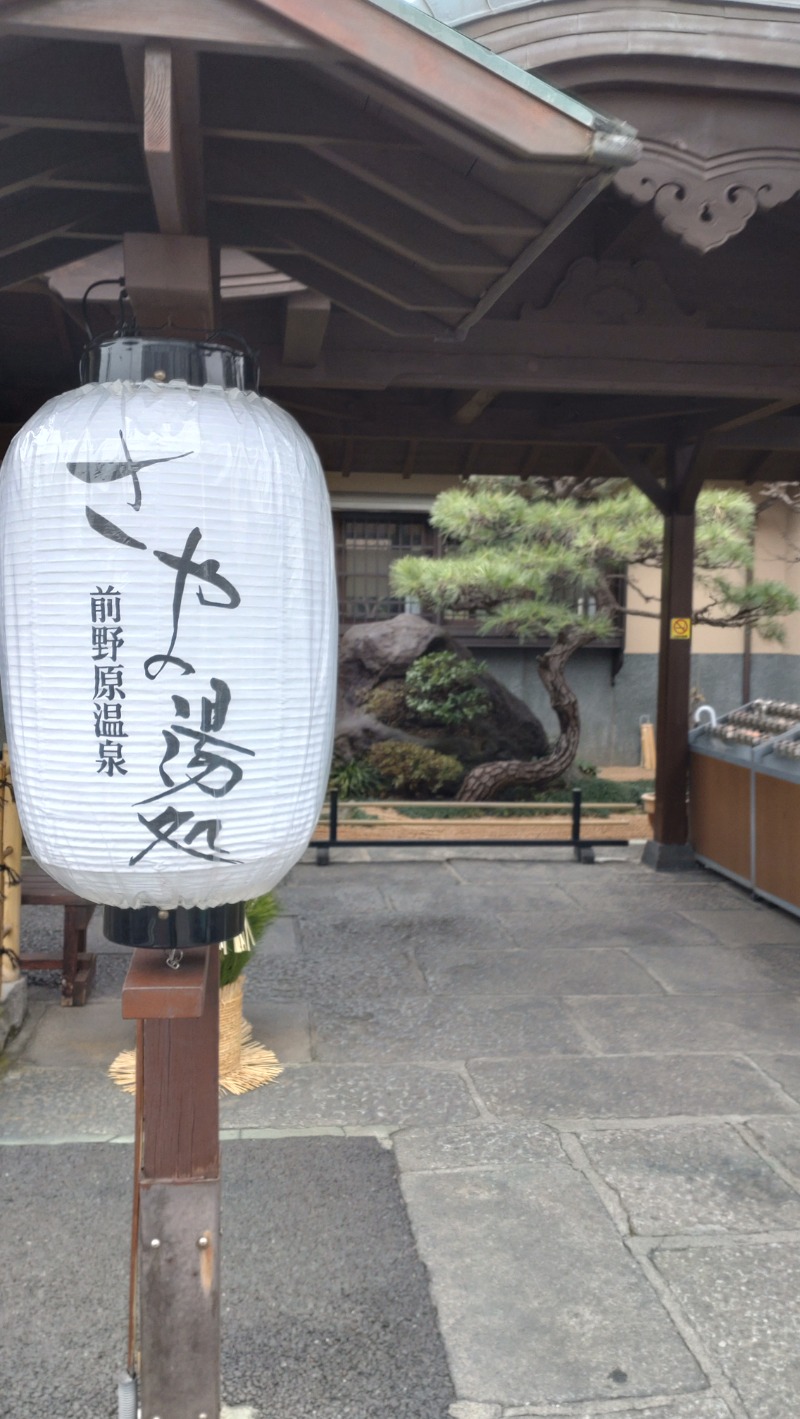 じゅんちさんの前野原温泉 さやの湯処のサ活写真