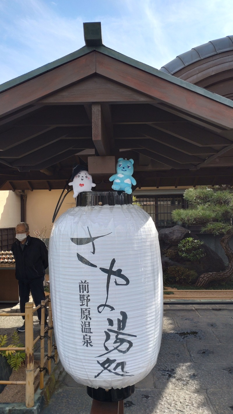 じゅんちさんの前野原温泉 さやの湯処のサ活写真