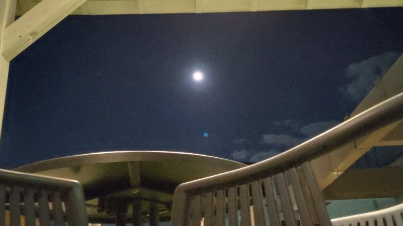 じゅんちさんの天然温泉 平和島のサ活写真