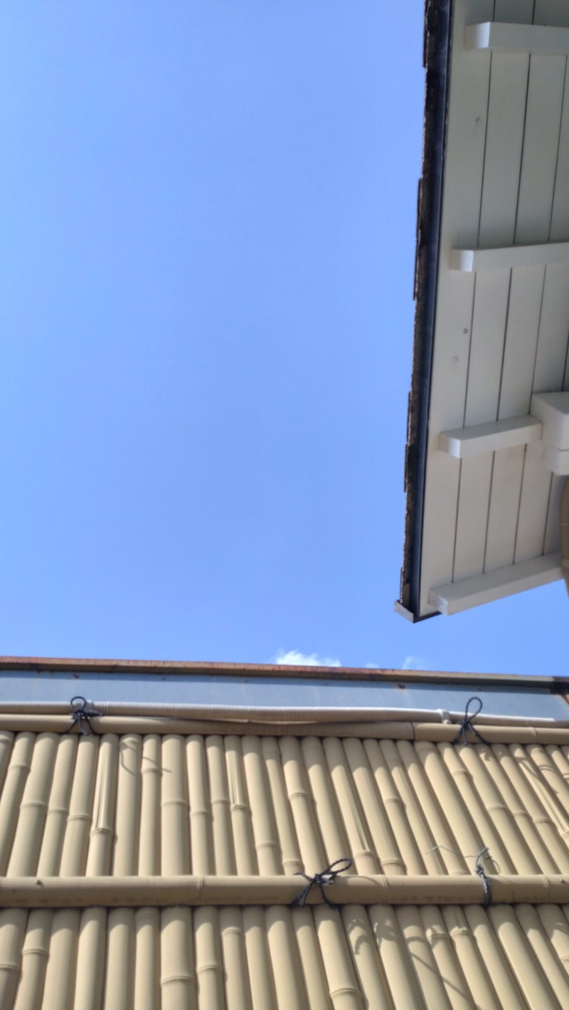 じゅんちさんの天然温泉 平和島のサ活写真