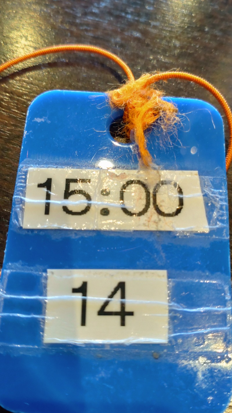 じゅんちさんのファンタジーサウナ&スパおふろの国のサ活写真