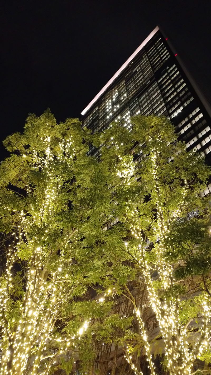 saunaDe musaLe TIEさんのアジュール竹芝 天空の湯のサ活写真