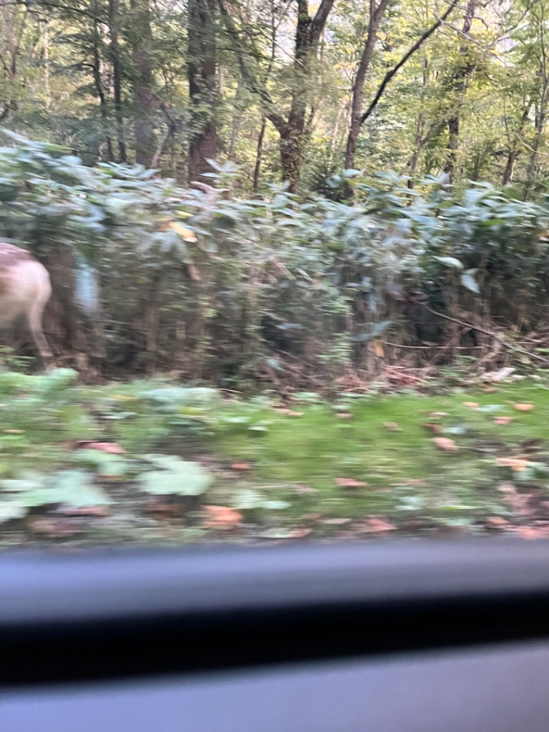 きよさんの吹上温泉保養センター 白銀荘のサ活写真