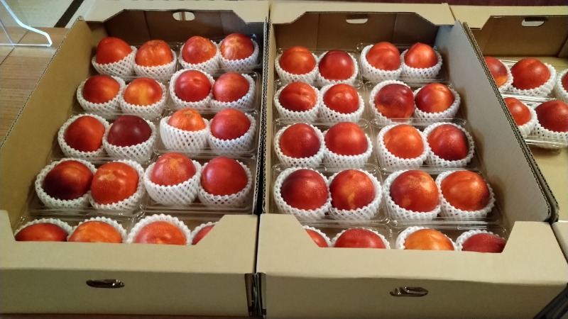 ㌣サウナっちさんの山梨泊まれる温泉 より道の湯のサ活写真