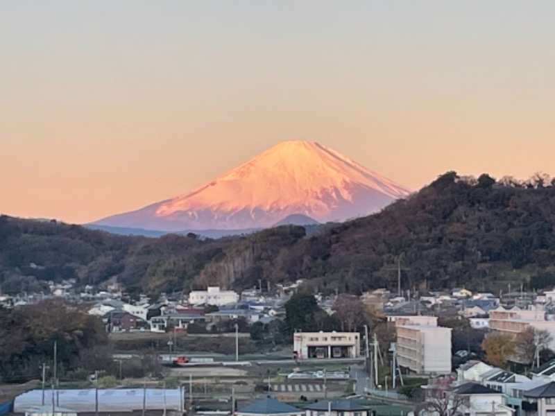 アミノレッドさんの大磯プリンスホテル THERMAL SPA S.WAVEのサ活写真