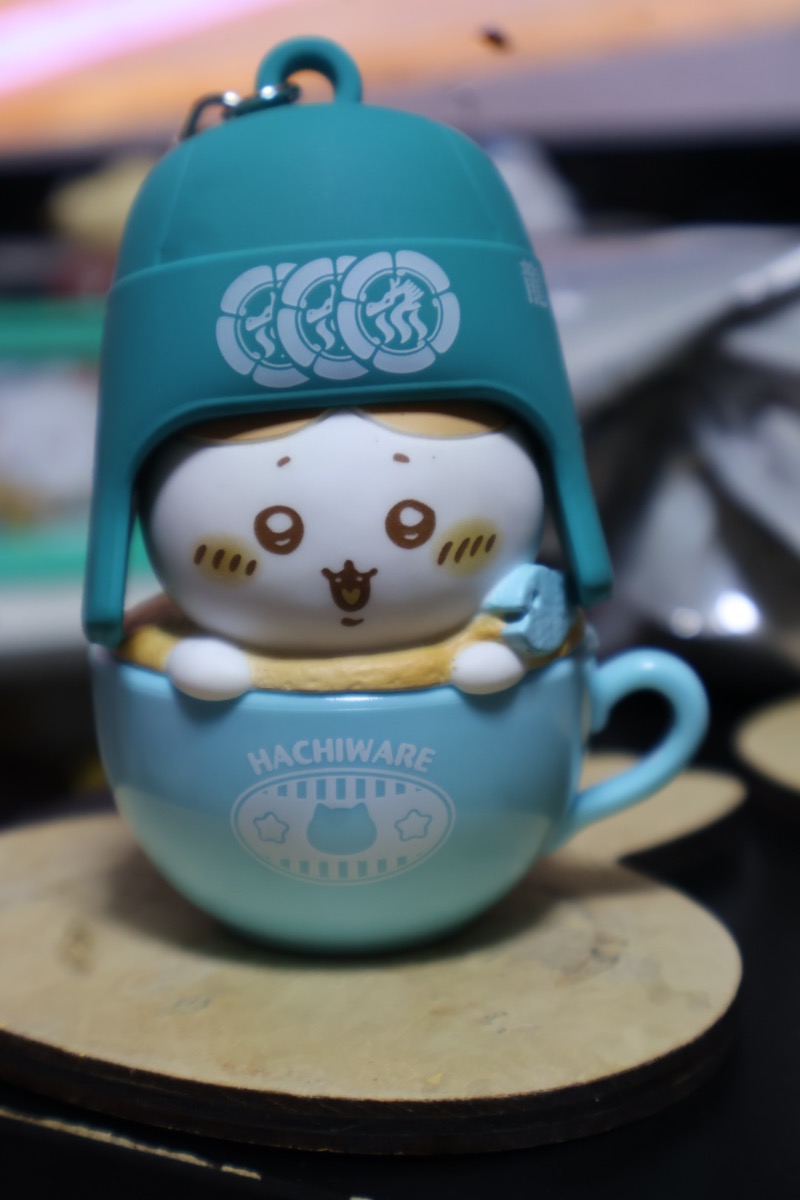 ひであきさんの龍城さうなのサ活写真