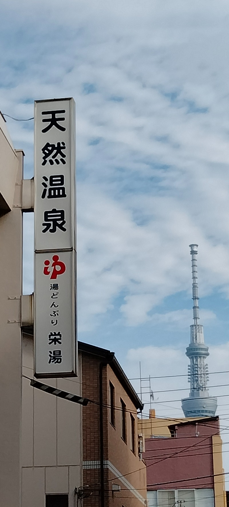 蒸しモさんの天然温泉 湯どんぶり栄湯のサ活写真