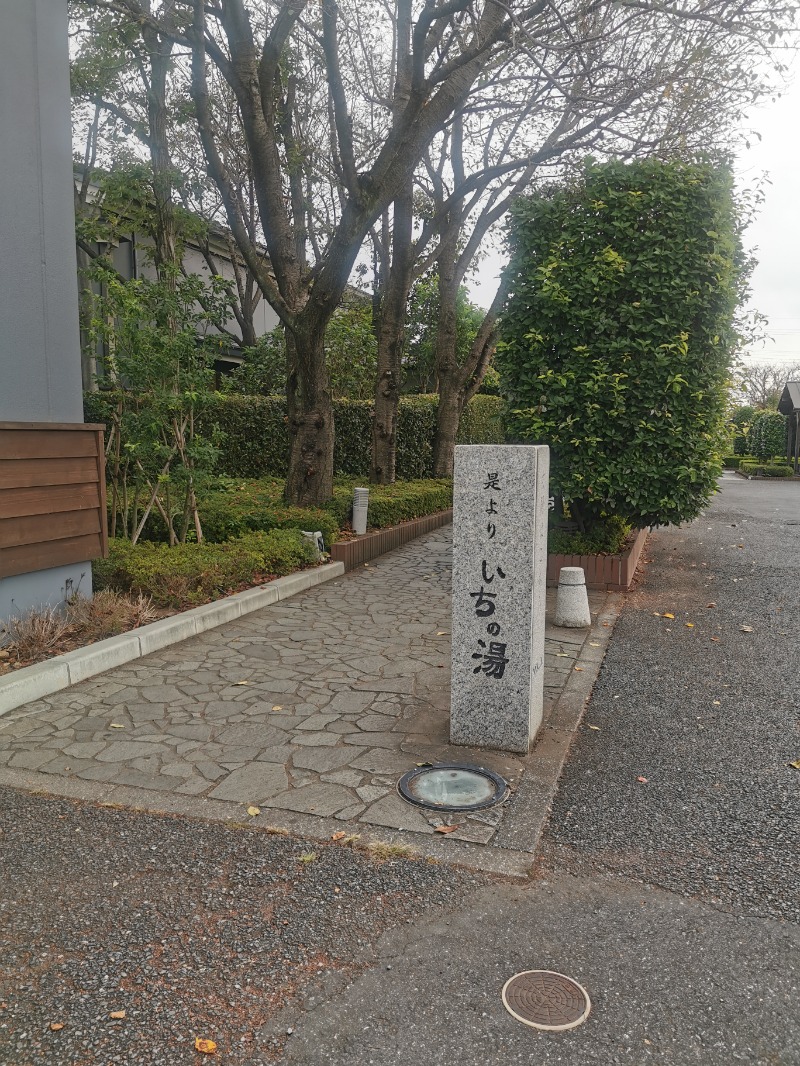 タントンさんのいちの湯 古河店のサ活写真