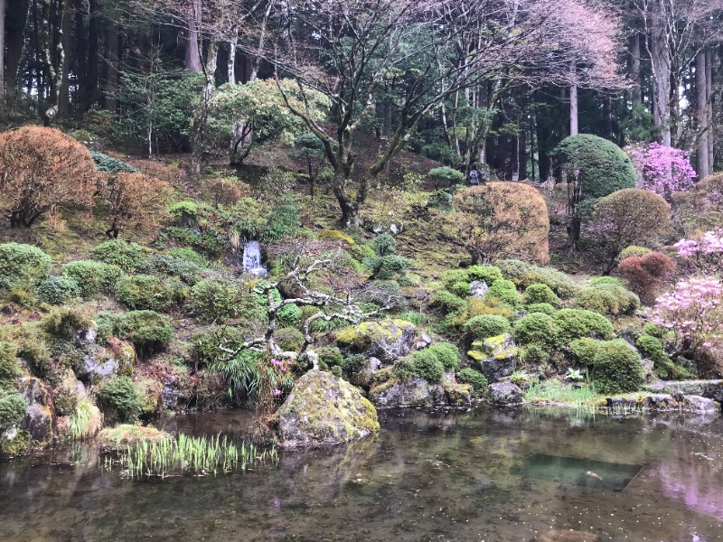 黒猫finkさんのみはらしの湯のサ活写真