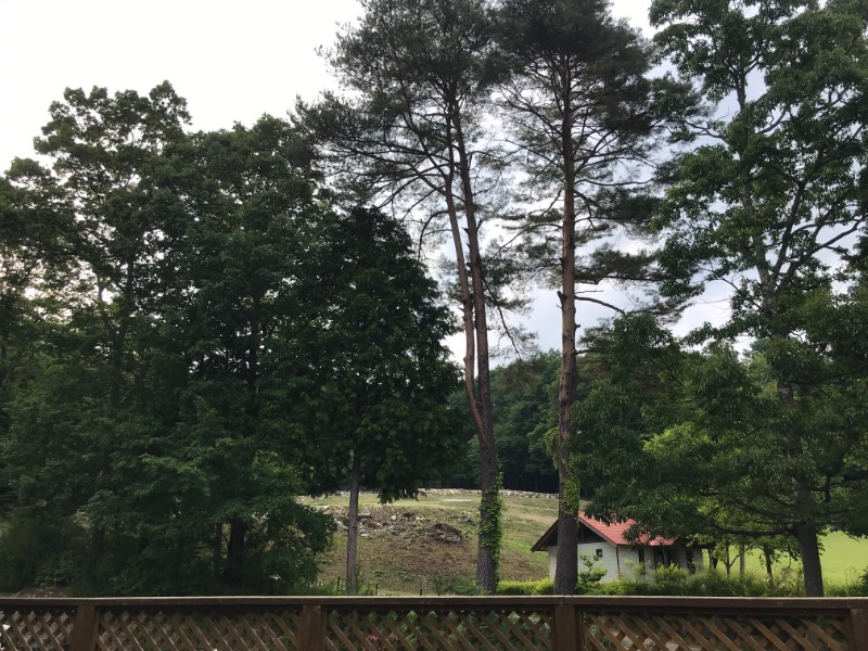 黒猫finkさんの信州駒ヶ根高原家族旅行村 露天こぶしの湯のサ活写真