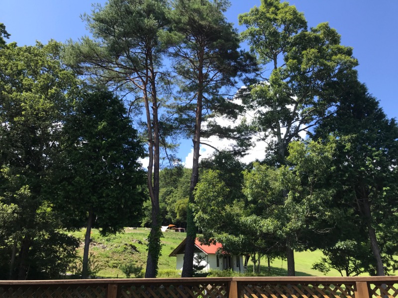 黒猫finkさんの信州駒ヶ根高原家族旅行村 露天こぶしの湯のサ活写真