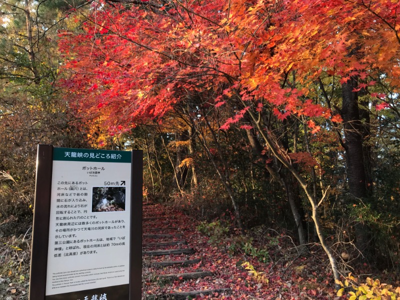 黒猫finkさんの天龍峡温泉交流館 ご湯っくりのサ活写真