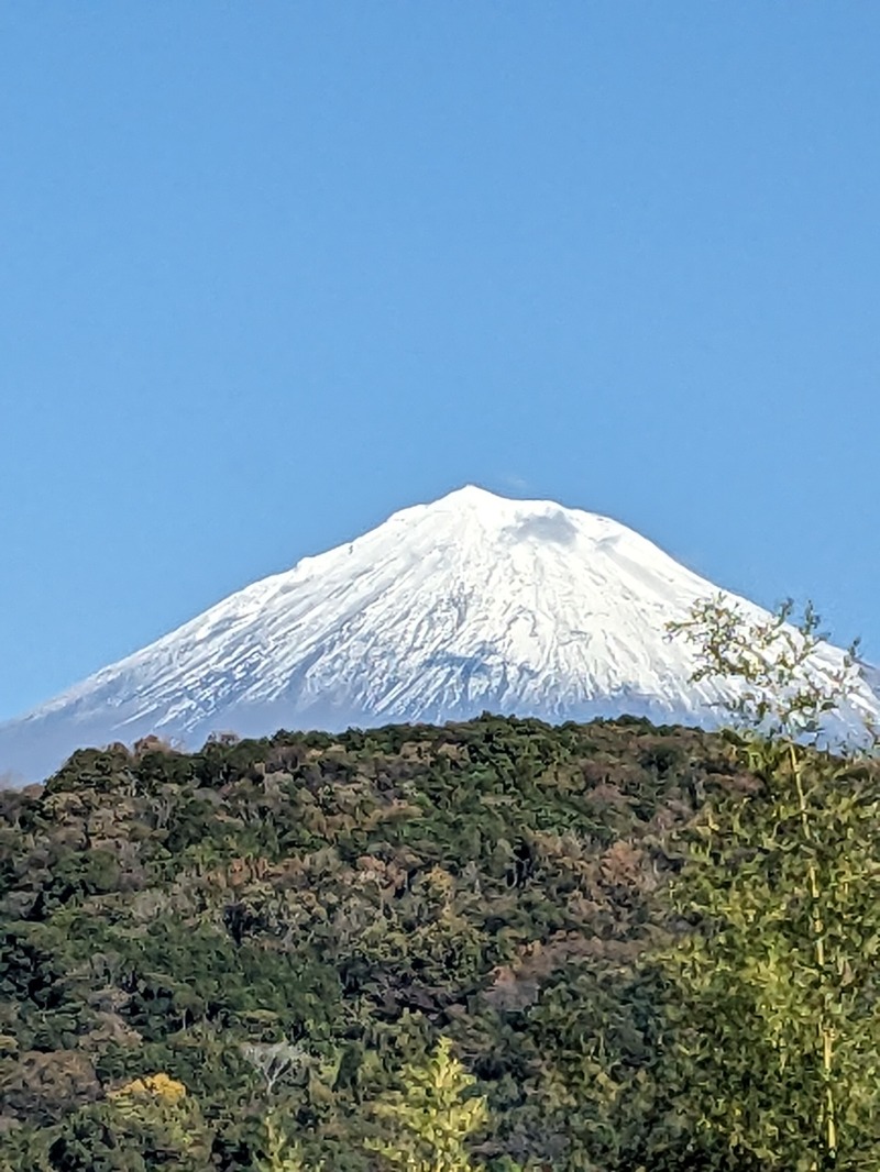 ミチさんの富士山天然水SPA サウナ鷹の湯のサ活写真